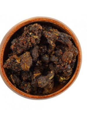 Fried meat (45 grams)